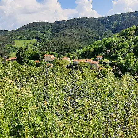 Maison Pittoresque Avec Terrasse Et Bbq, Calme Pres De - Fr-1-582-124 Ferienhaus Langeac